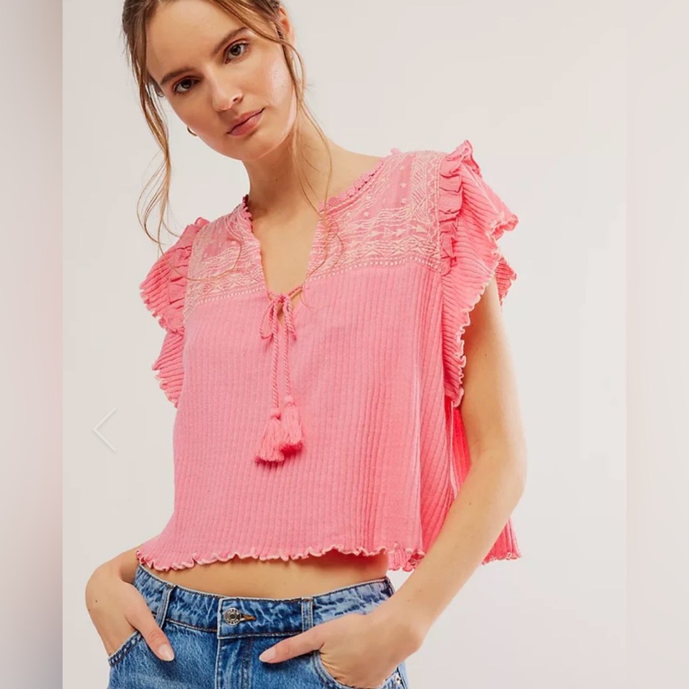 Free People Sarafina Top Boho Cottage Core Embroidered Flutter Crop Pink XL